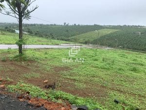 Đất vườn Bảo Lộc đang được giới đầu tư nhà giàu săn tìm - 4