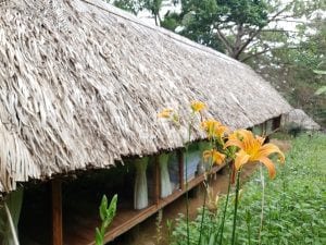 6 điều giúp bạn chắc chắn thành công khi thiết kế FarmStay - 7 6 điều giúp bạn chắc chắn thành công khi thiết kế FarmStay - 4