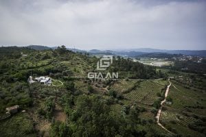 Không gian nghỉ dưỡng thoáng đẹp trên sườn đồi ở Bồ Đào Nha - 17 Không gian nghỉ dưỡng thoáng đẹp trên sườn đồi ở Bồ Đào Nha - 16