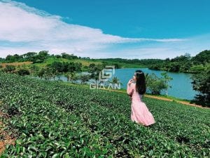 Bất động sản nào tại Lâm Đồng sẽ thu hút nhà đầu tư? - 18 Bất động sản nào tại Lâm Đồng sẽ thu hút nhà đầu tư? - 11