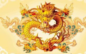 Phong thủy nam nữ mạng tuổi Thìn 1988 - 7