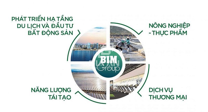 Tìm hiểu về chủ đầu tư BIM Group là ai? Các dự án BĐS của BIM Group