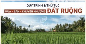 Các thủ tục cần thiết để mua bán đất nông nghiệp - 8