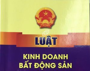 Tìm hiểu về luật kinh doanh bất động sản mới nhất năm 2021 - 7