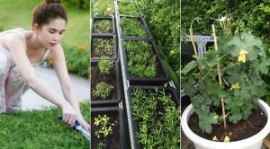 Tôi bỏ Sài Gòn về Bảo Lộc kiểu 'tay không bắt giặc' - 4