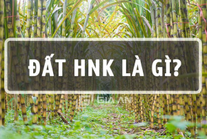 Đất HNK là gì?