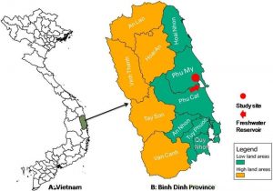 bản đồ quy hoạch tỉnh Bình Định 1