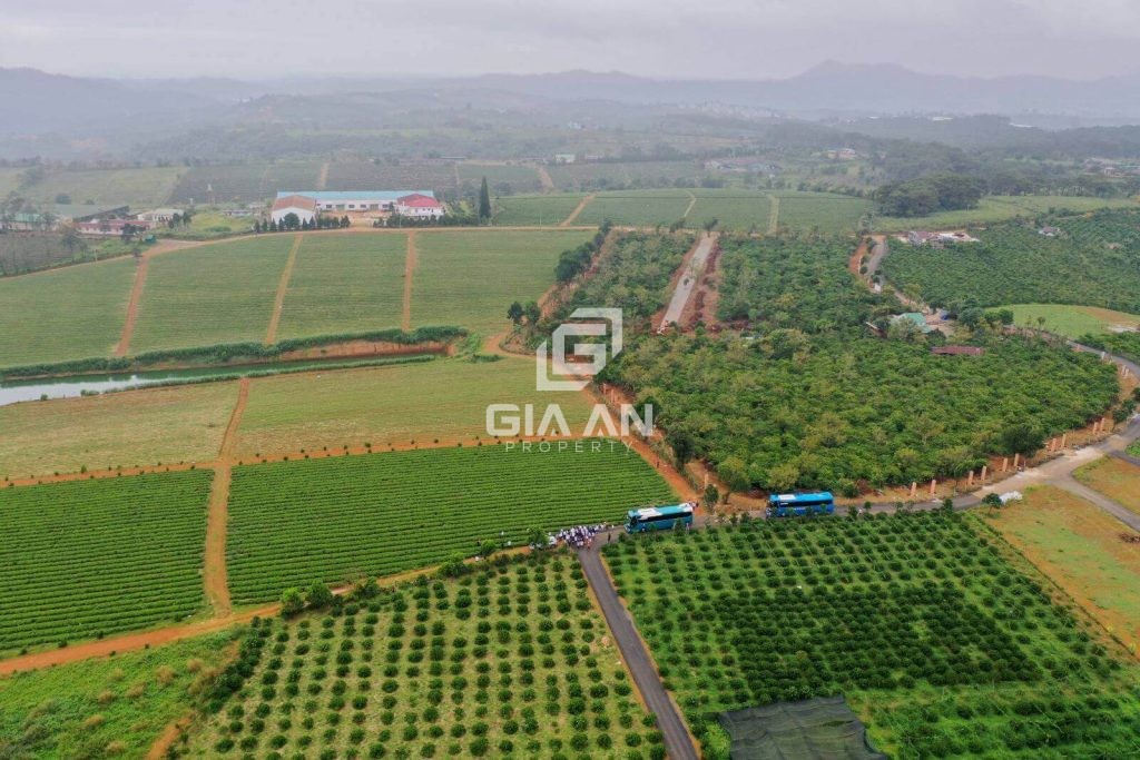 Giá đất ở nông thôn hiện nay là bao nhiêu?