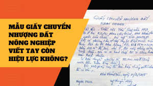 Mẫu giấy chuyển nhượng đất nông nghiệp viết tay đúng quy định 2022 - 4