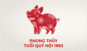 Tuoi-Quy-Hoi-1983-hop-mau-gi-1