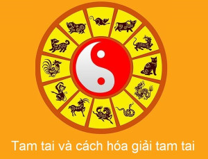 cach-su-dung-tui-tam-tai-1