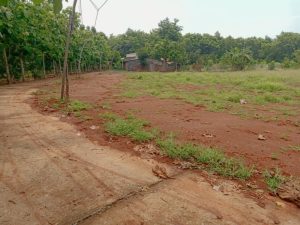 bán đất bình phước giá rẻ