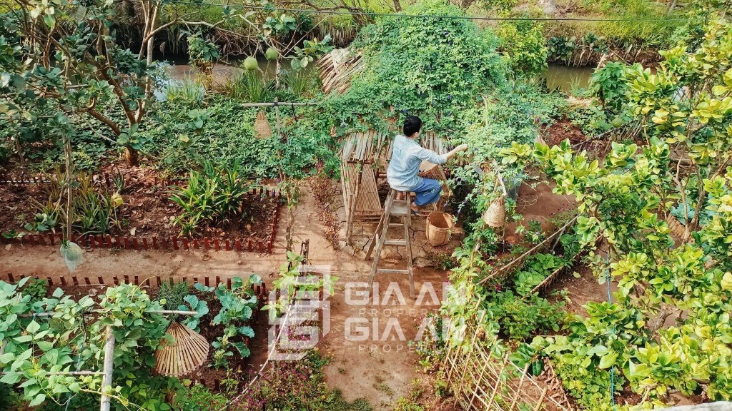 Cập nhật giá đất vườn mới nhất hiện nay