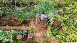 Xu hướng “bỏ phố về vườn” ngày càng phát triển