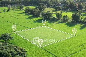 1 ha bằng bao nhiêu mét vuông? Cách chuyển đổi đơn vị đo diện tích - 4