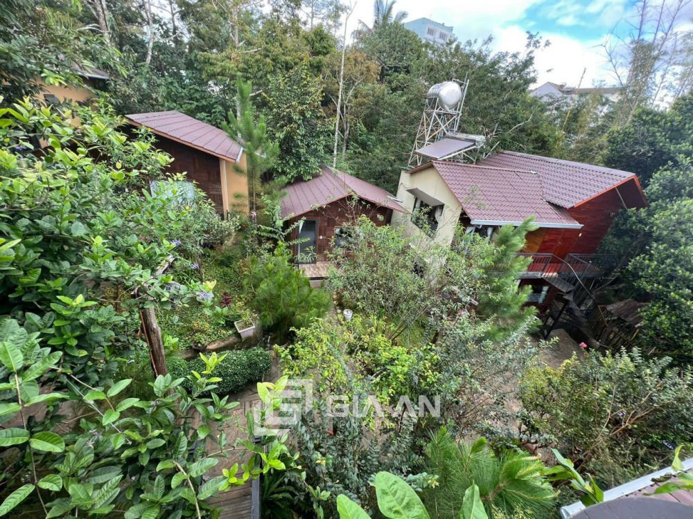 - Homestay là gì?