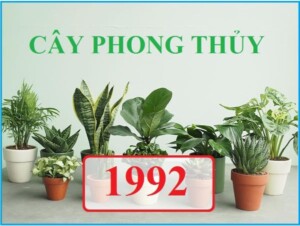Những loại cây hợp với mệnh Kim 1992 - 19