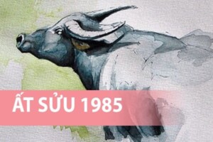 Nam tuổi Ất Sửu hợp với hướng nhà nào? - 27